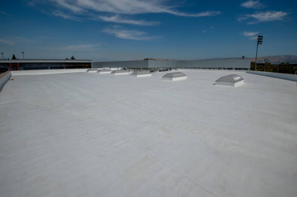 Best Gutter Installation and Repair  in Mallory, WV