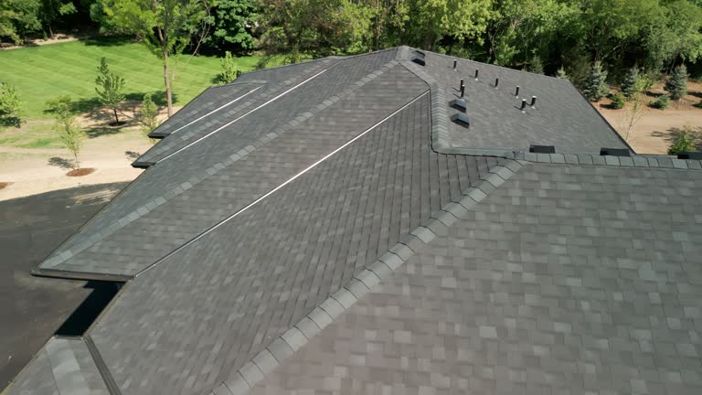 Best Asphalt Shingles Roofing  in Mallory, WV