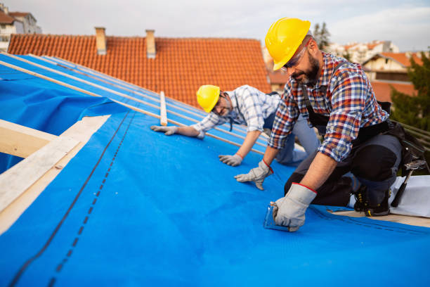 Best Metal Roofing Installation  in Mallory, WV