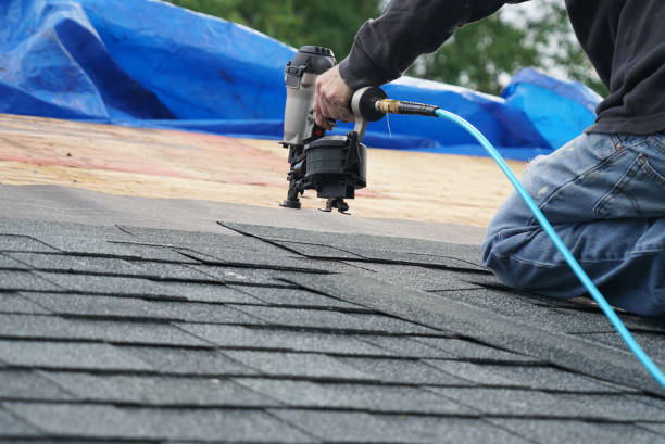 Best Storm Damage Roof Repair  in Mallory, WV