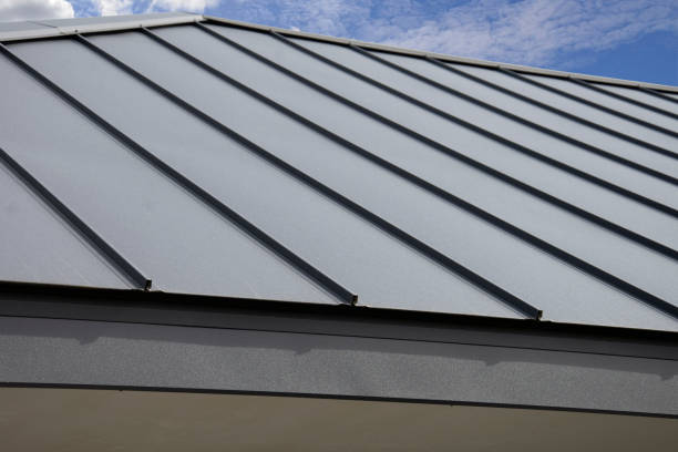 Best Roof Moss and Algae Removal  in Mallory, WV